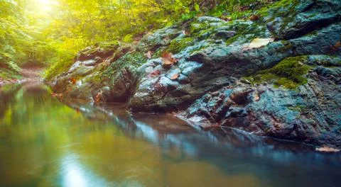 Small river stream through forest in fall Stock Photos