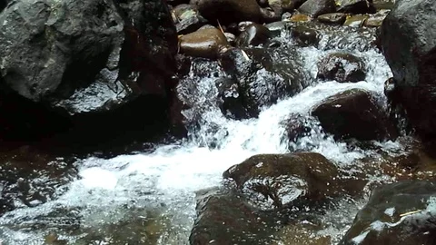 Small river stream from waterfall Video stock 124401337