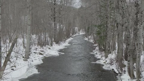Small river stream in winter cold running creek Stock Footage 259229471