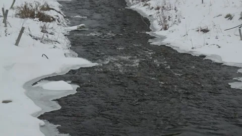Small river stream in winter cold running creek Vidéo 259229487