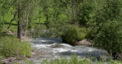 Small river streaming through a wood in Austria Stock Footage 81208731