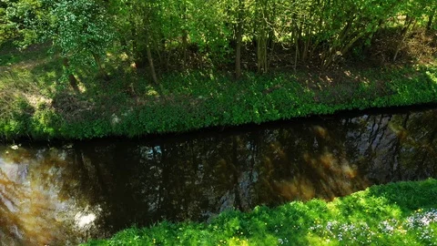 Small river streaming trough typical green Dutch landscape Video stock 111664128