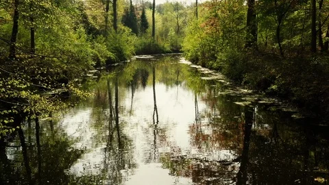 Small river streaming trough typical green Dutch landscape 動画素材 111664203