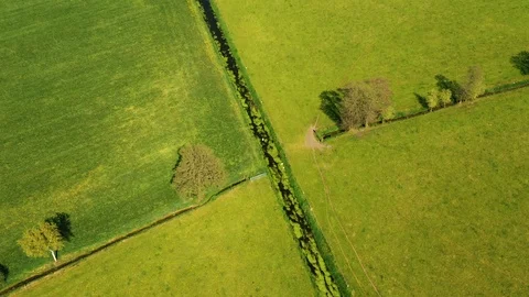 Small river streaming trough typical green Dutch landscape 動画素材 111664278