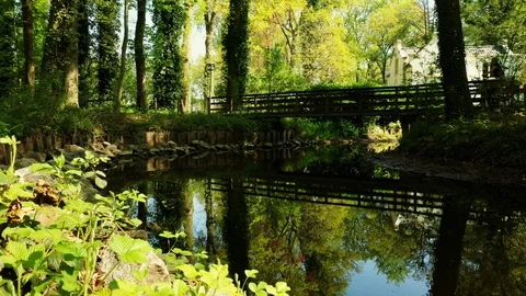 Small river streaming trough typical green Dutch landscape Video stock 111664354