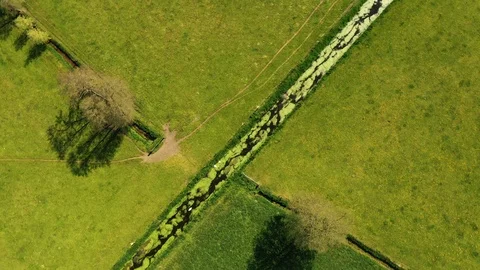 Small river streaming trough typical green Dutch landscape Video stock 111664360