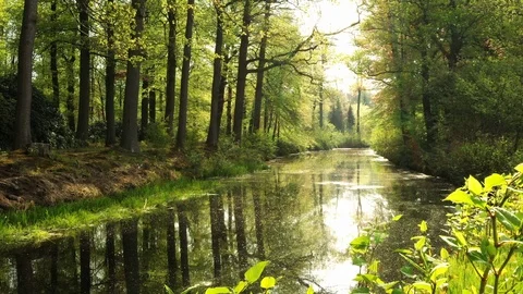 Small river streaming trough typical green Dutch landscape Video stock 111664402