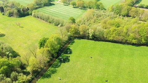 Small river streaming trough typical green Dutch landscape Video stock 111664417