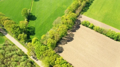 Small river streaming trough typical green Dutch landscape 動画素材 111664486