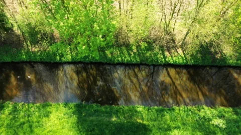 Small river streaming trough typical green Dutch landscape Video stock 111664501