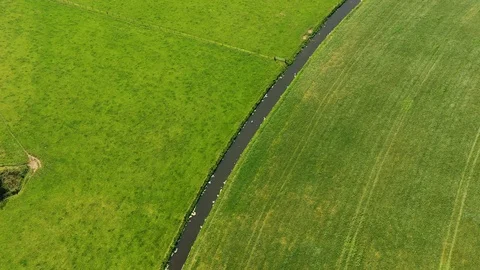Small river streaming trough typical green Dutch landscape Video stock 111664547