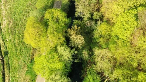 Small river streaming trough typical green Dutch landscape Video stock 111664658