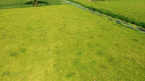 Small river streaming trough typical green Dutch landscape Video stock 111664669