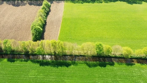 Small river streaming trough typical green Dutch landscape 動画素材 111664710
