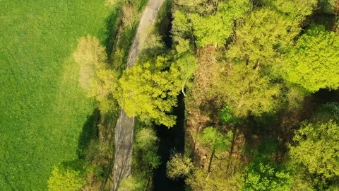 Small river streaming trough typical green Dutch landscape 動画素材 111664739