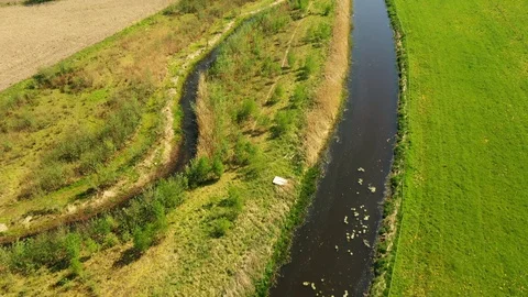 Small river streaming trough typical green Dutch landscape Video stock 111664913