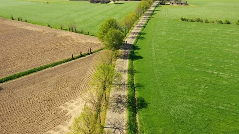 Small river streaming trough typical green Dutch landscape Video stock 111665023