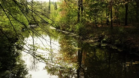 Small river streaming trough typical green Dutch landscape Video stock 111665100