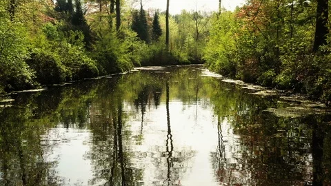 Small river streaming trough typical green Dutch landscape Video stock 111665149
