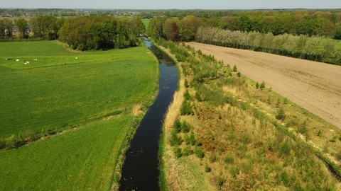 Small river streaming trough typical green Dutch landscape Video stock 111665269