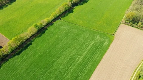 Small river streaming trough typical green Dutch landscape Video stock 111665542