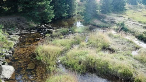 Small river surrounded by forest in czech mountains Stock Footage 207823099