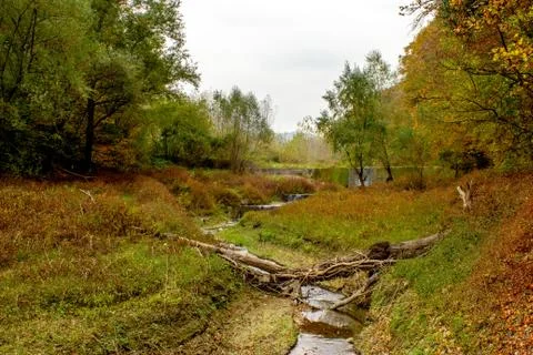 Small river surrounded with forest Stock Photos