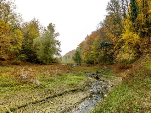 Small river surrounded with forest Stock Photos