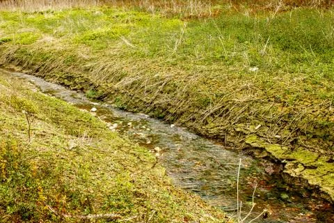 Small river surrounded with forest Stock Photos