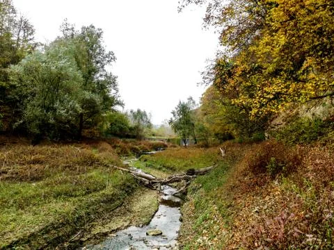Small river surrounded with forest Stock Photos