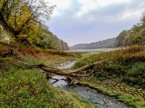 Small river surrounded with forest Stock Photos