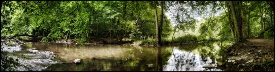 Small River through Forest Stock Photos