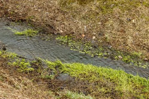 Small river through park Stock Photos