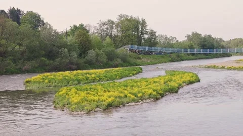 Small river with a tiny island and a suspension footbridge Video stock 259742210