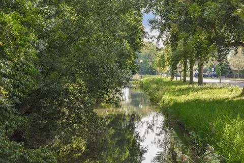 A small river with trees on the side of it Stock Photos