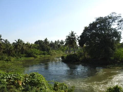Small river in Trichy Foto stock