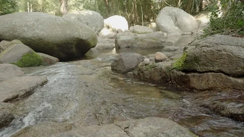 Small river in tropical jungle between stones Vídeo Stock 332259560