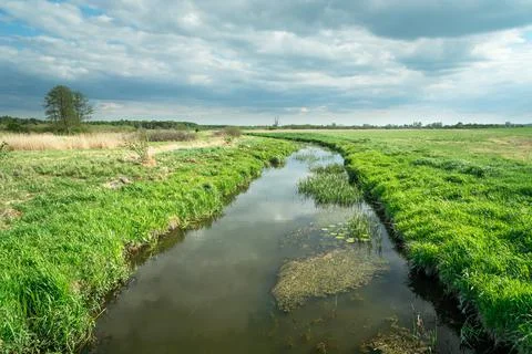 The small river Uherka flowing through green meadows in eastern Poland Stock Photos