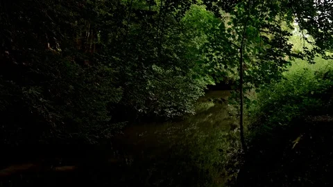 A small river under the cover of trees Stock Footage 122752601