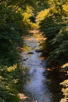 A small river in Varese. Stock Photos
