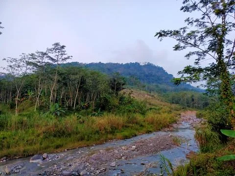 Small River View 写真素材