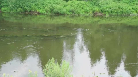 A small river, view from the shore, slow motion camera 스톡 동영상 328299347