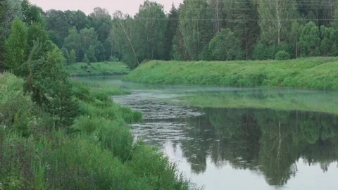 A small river, view from the shore, slow motion camera Video stock 328299435