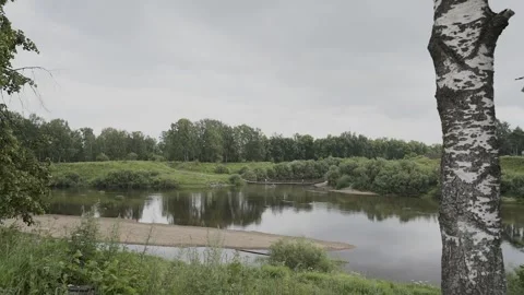 A small river, view from the shore, slow motion camera Stock Footage 328315204