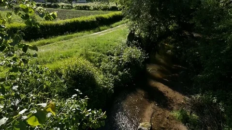 Small river in the village Stock Footage 76621972