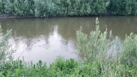Small river in the village Stock Footage 310904165