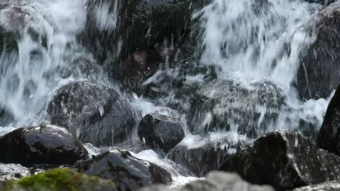 Small river water falls on the rocks Stock Footage 280389770