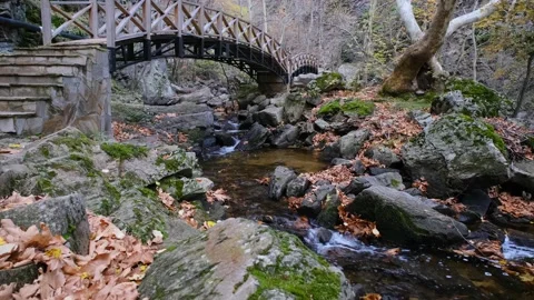 Small river, water flow at autumn, Video stock 166715929