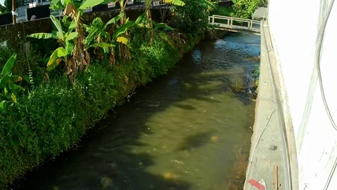Small river water flow Video stock 242660735