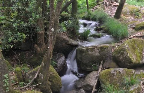 Small river with water flow running through rocks and waterfalls Stock Photos